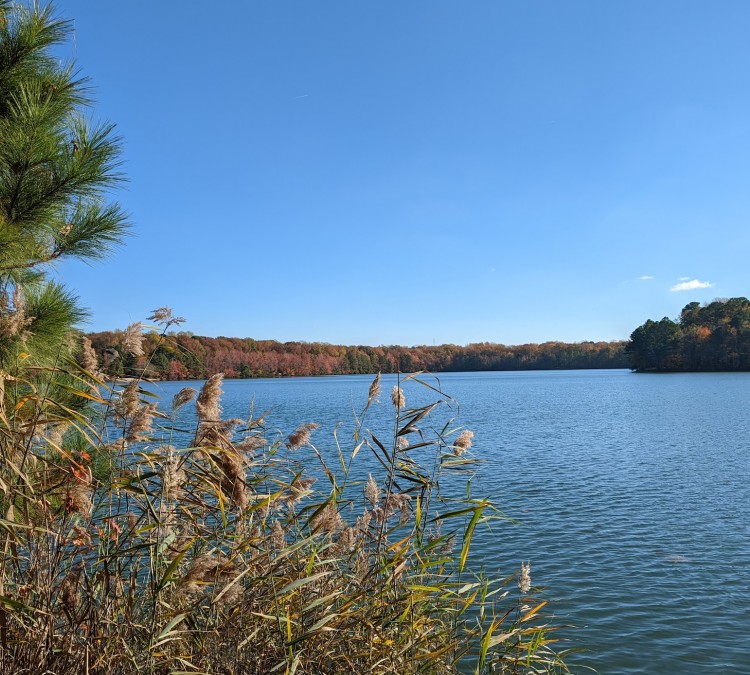 Oak Grove Lake Park (Chesapeake,&nbspVA)
